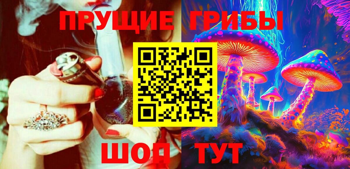 Галлюциногенные грибы Cubensis Россия